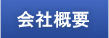 ЊTv